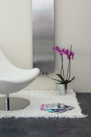 Ice Brushed Inox Ice Brushed Inox