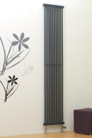 Arenal Vertical Arenal Vertical